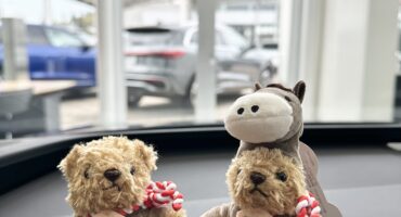 NEWマイスターベア🐻💕