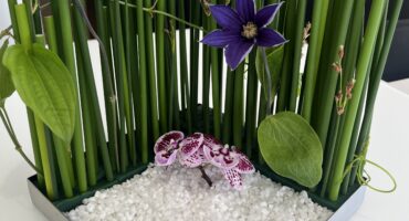 🌿今週のお花シリーズ🌿